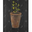 «Plant of Marjolaine» - reproduction encadrée avec passe-partout noir | Décoration intérieure-1479656237-1479656226