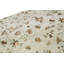 Floral Area Rug in Ivory