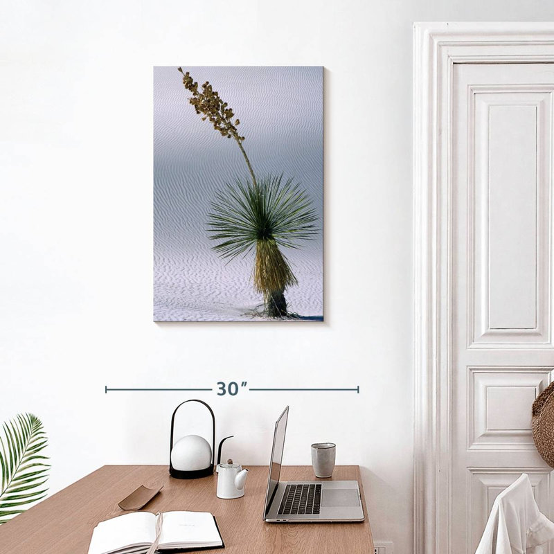 Harnek Yucca Succulent, 30" H x 20" W
