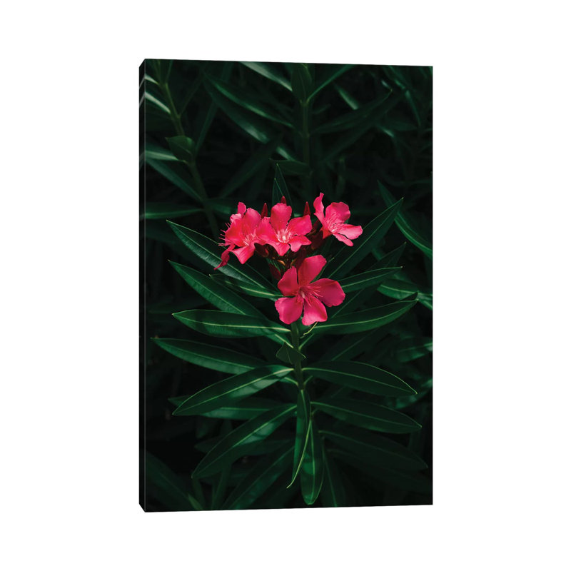 Florida Blooms by Bethany Young - Print on Canvas, 45.72cm H x 30.48cm W x 1.91cm D, Wrapped Canvas