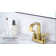 Centerset Faucet 2-handle Bathroom Faucet with Drain Assembly