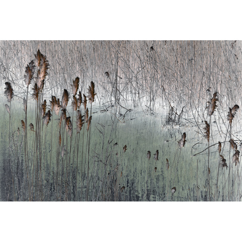 «Piscium Into The Marsh I» par Dan Singh - reproduction d'art sur toile tendue, H 8 po x l 12 po