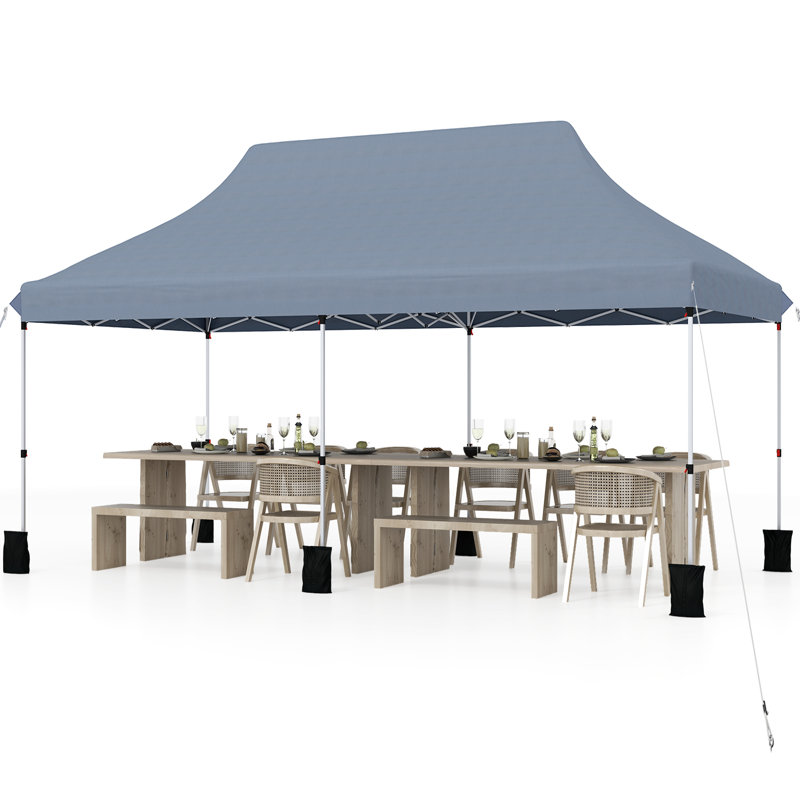 3M X 6M Pop-Up Canopy Tent Folding Instant Sun Shelter W/ Carrying Bag, Grey