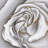 rose delicate - 32"x32" art on canvas