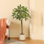 Adcock Artificial Ficus Tree with Round White Planter, Pre Potted Faux Money Tree for Home Decor-298643299