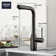 Essence Pull Out Single Handle Kitchen Faucet with Accessories