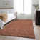 Premium Machine Washable Cerrito AMF514 Terracotta Rug