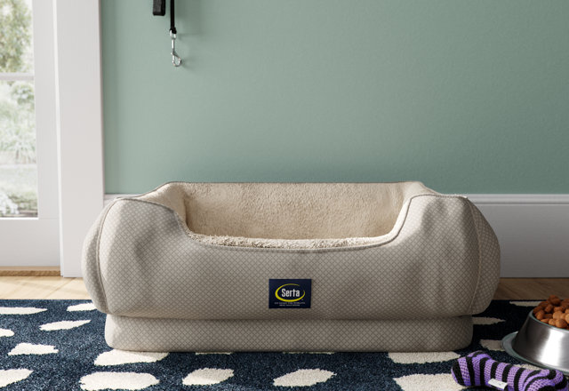 Dog Beds for Less