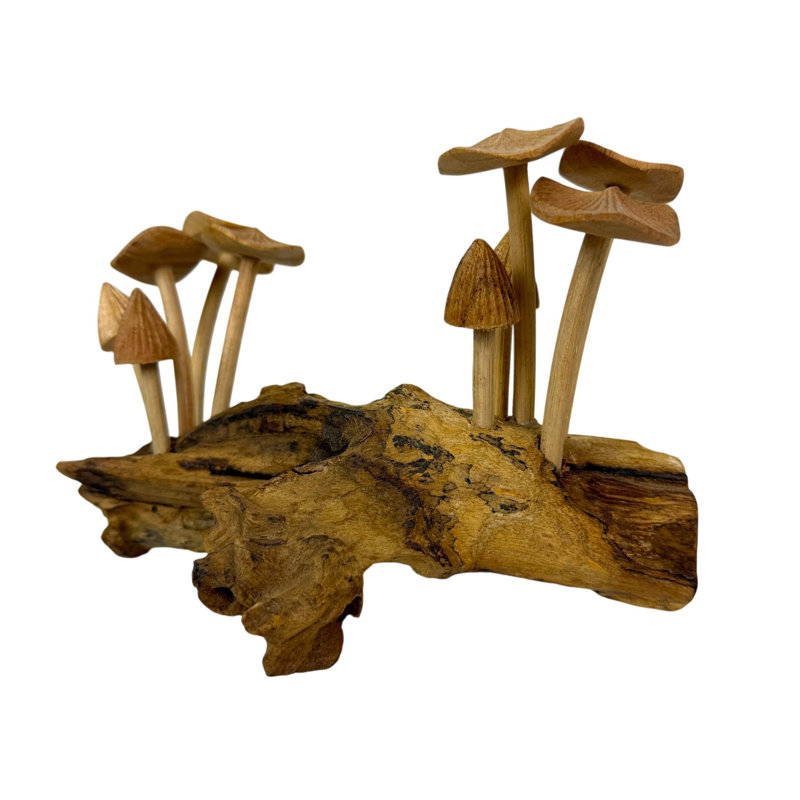 Sculpture de champignon en bois sur socle en racine, figurine de table naturelle de 14 cm (5,5 pouces)