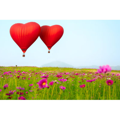 " Heart Shape Ballooning " by Pat138241