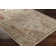 Gorsuch Oriental Indoor Rug