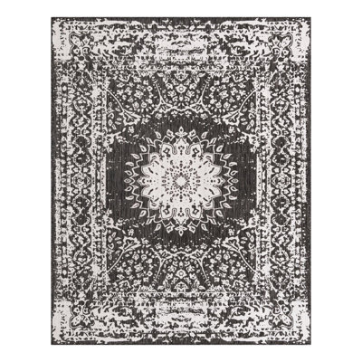 Ornate Lamotte Indoor/Outdoor Area Rug