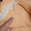Iesha Throw Blanket-1071712362