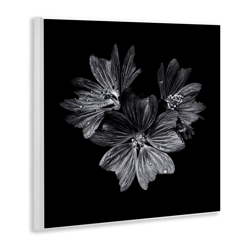  «Blossom Trio on Black», art mural sur bois par Brian Carson