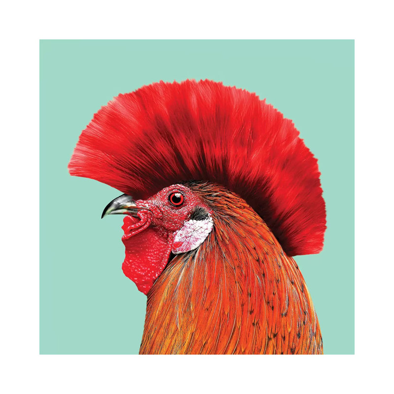 Punkcock by Jonas Loose - Wrapped Canvas Gallery-Wrapped Canvas Giclée, 45.72 cm H x 45.72 cm W x 1.91 cm D