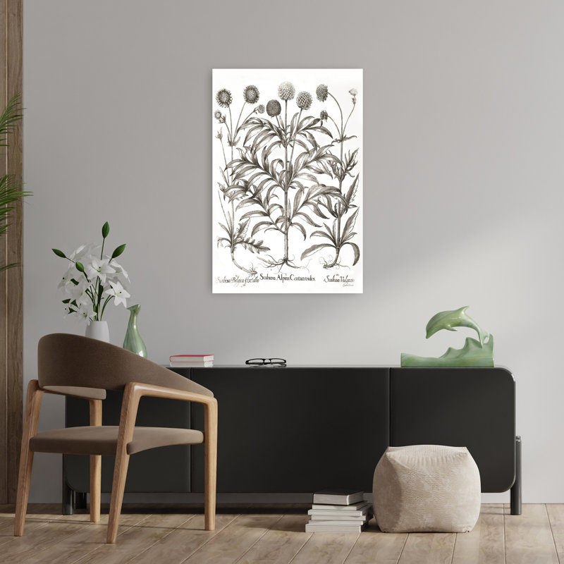 Art floral contemporain Scabiosa, H 36 po x l 24 po