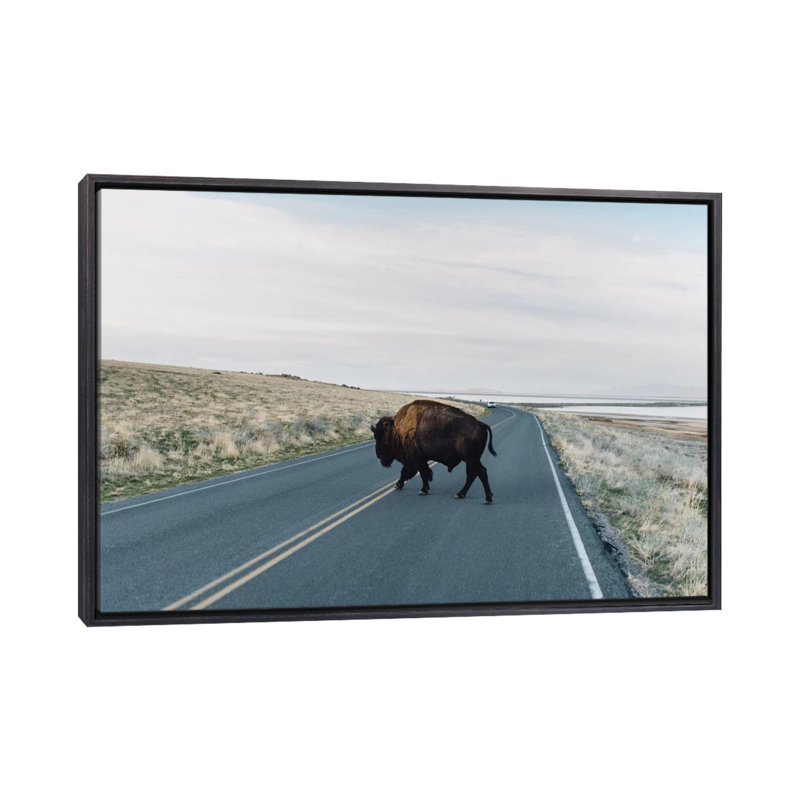 « buffalo bison » par chelsea victoria-impression, H 18 po x l 26 po x P 1,5 po, Toile avec cadre noir patiné
