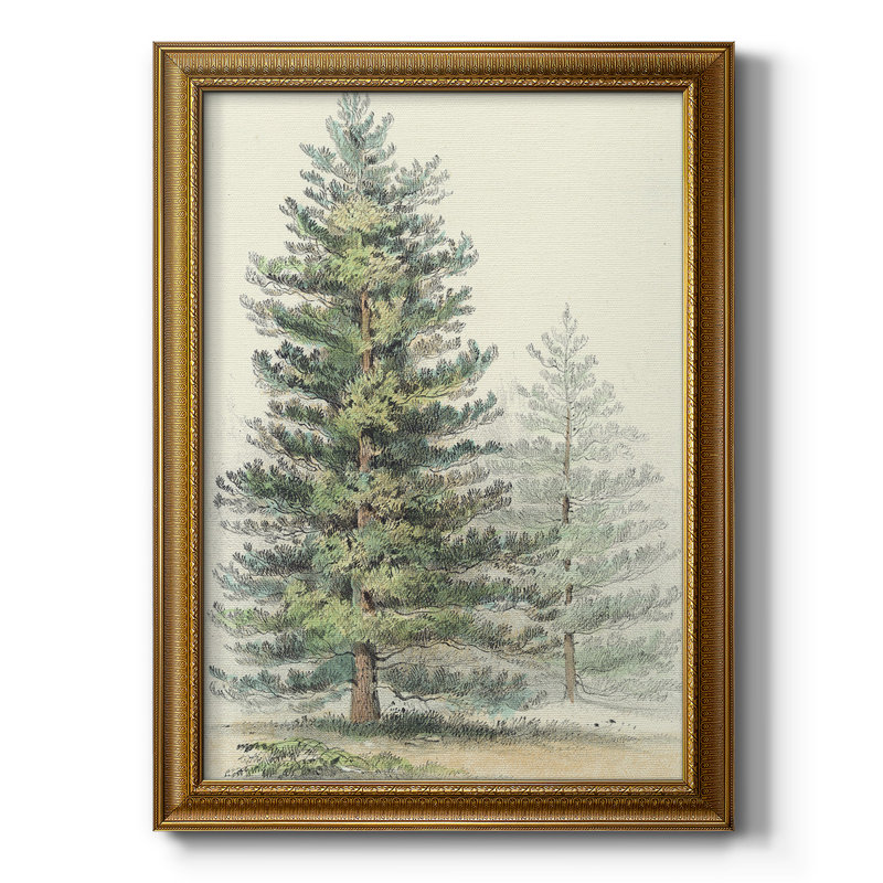 Toile encadrée de qualité supérieure Majestic Pine I - prête à être accrochée, L 16 po x H 20 po