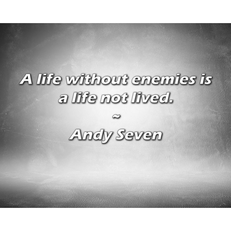 Andy Seven Citation: Une vie sans ennemie est une vie qui ne se vit pas., H 20 po x l 24 po
