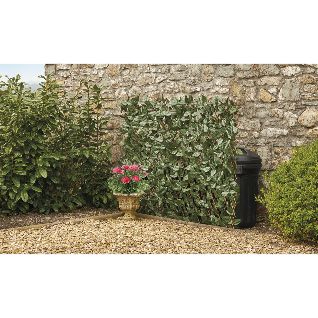 Alvild 100cm H x 200cm W Wood Expanding Trellis