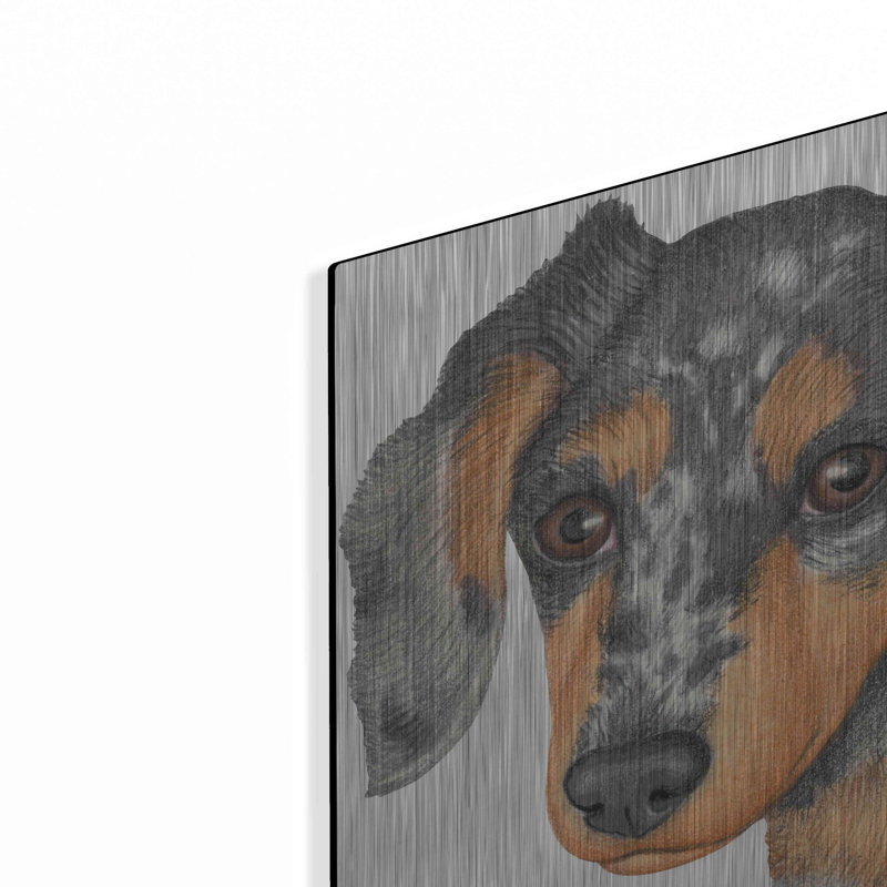 «Dappled Dachshund Walking» par Danny Gordon, H 24 po x l 36 po