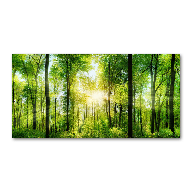 Forest In The Sun - Wrapped Canvas Print, 60cm H x 120cm W