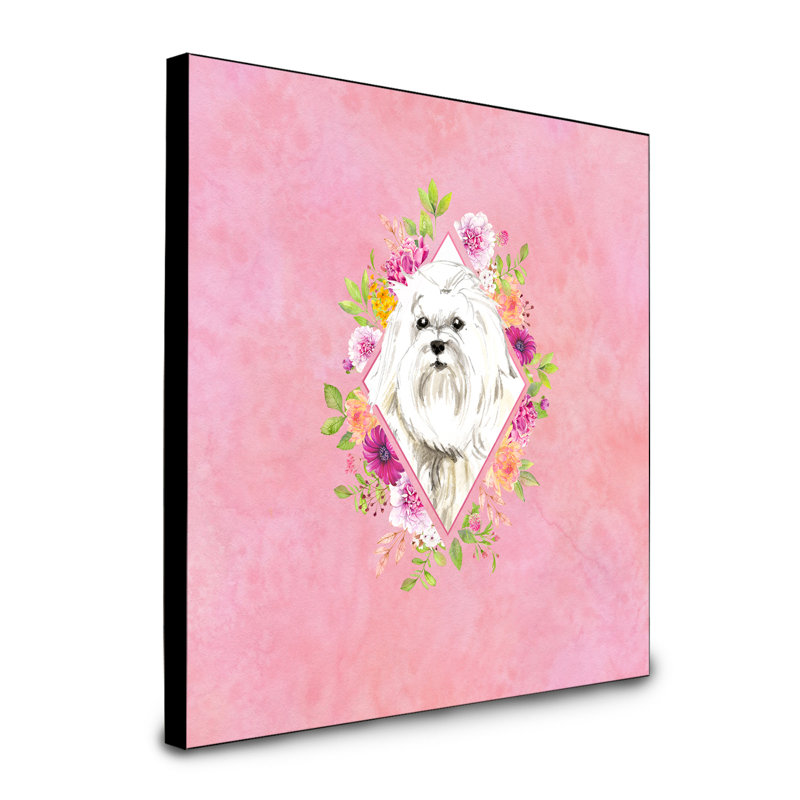 Panneau mural Dollman Flowers, Rose, Maltais blanc