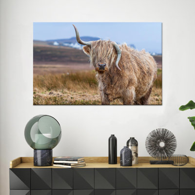 Printed Canvas Artwork: Highland Cow in Coastal Farmhouse Ambiance,1P GoldFramedCanvas