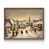 Noyer