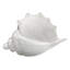 Triton Shell in Steel Blown Glass-1592586704