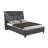 Queen Music Bed