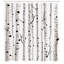 Ensemble de rideau de douche et crochets Birch Tree-44327970