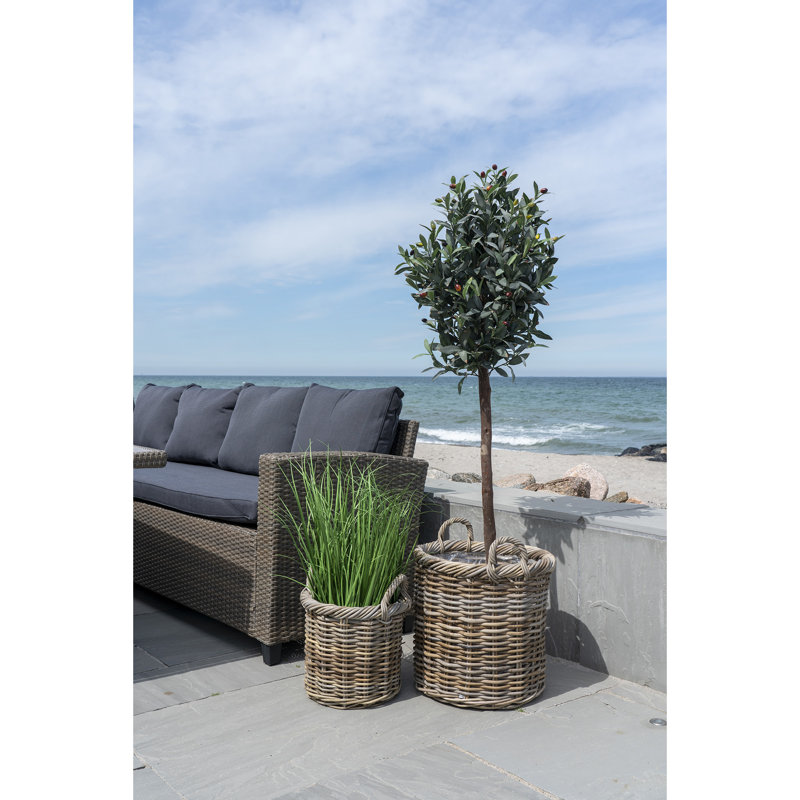 150cm Faux Olive Tree Tree in Planter