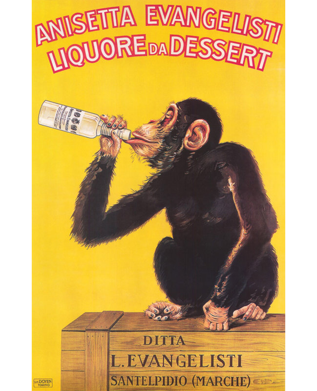 Liquore Da Dessert Anisetta, H 24 po x l 16 po