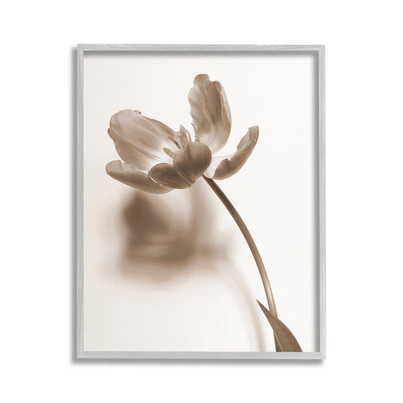 Tige de tulipe minimale, H 14 po x l 11 po, Estampe numérique Farmhouse
