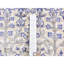 Tapis de couloir unique ivoire / bleu noué à la main 2 pi 7 po x 10 pi 1 po Frazierii