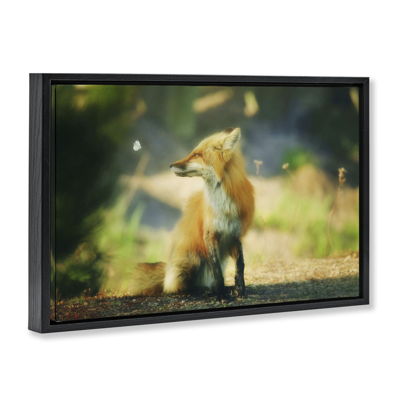 «Fox Kit & Butterfly» par Carrie Ann Grippo-Pike, Cadre flottant noir de jais, H 21 po x l 31 po