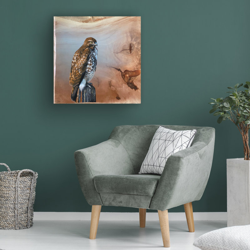 Moderne et contemporain Redtail Hawk sur impression sur toile, L 24 po x H 24 po