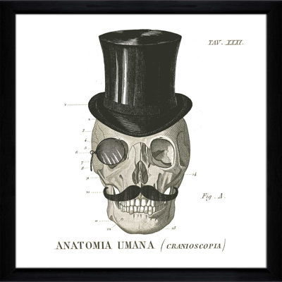 " Dandy Bones I "