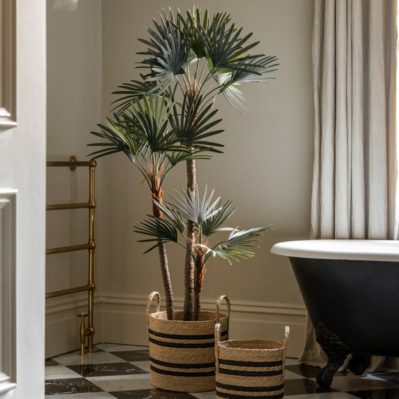 Potted Statement Palm 1170mm