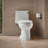 Adair 1.28 GPF Water Efficient Elongated One-Piece toilet (Seat Included)-10397007-65043900
