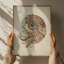 Elegant Nautilus Shell Print by Other Artist-1008495432-1008495439-1008495445