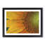 Petals of the Yellow Sunflower - Picture Frame Painting Print-55583132-55583131