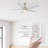 Jelisavka 52'' Ceiling Fan with LED Lights