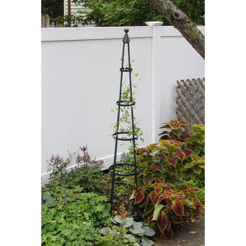 Graphite Wrought Iron Garden Obelisk Trellis, 84 Inches