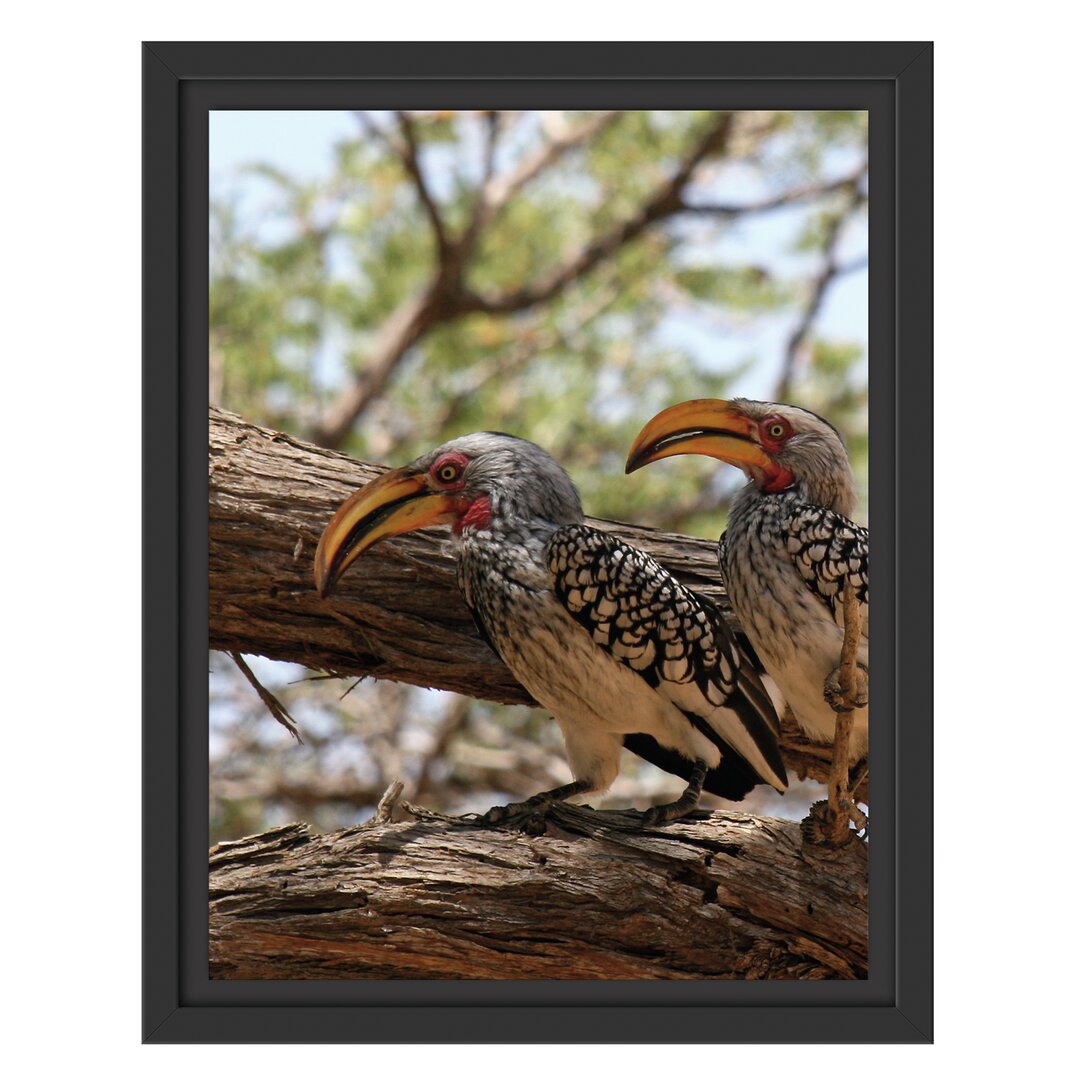 Gerahmtes Wandbild zwei exotische Vögel auf Baum