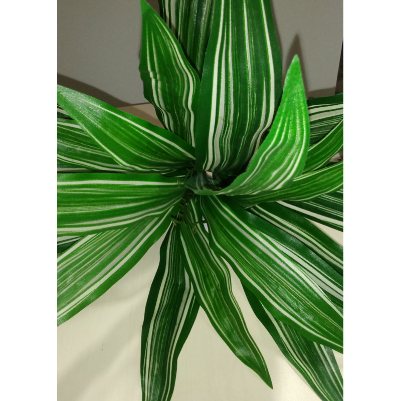 Plante artificielle 15 po Dracaena