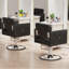 Fauteuils de coiffeur pour coiffeur, noir-370897465