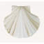 Sea Shell 5 Print-1287528372-1313130665