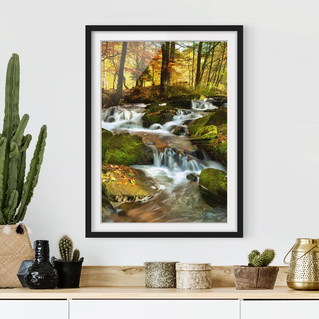 Fotodruck Wasserfall in einem herbstlichen Wald